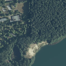 Satelita