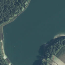 Satelita