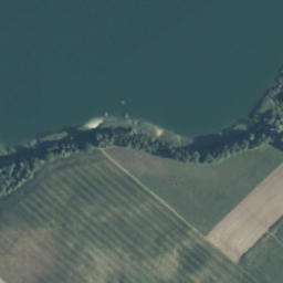 Satelita