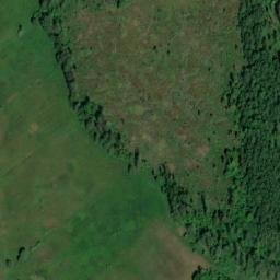 Satelita