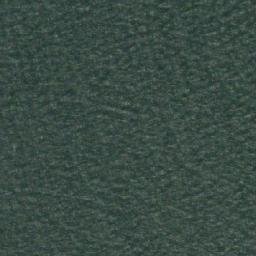Satellite imagery of Salmon Point, CA