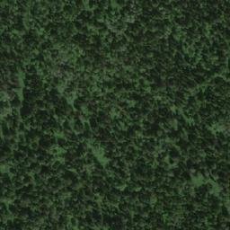Satellite imagery of Погунская, RU
