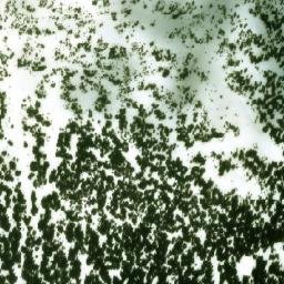 Satellite imagery of Two Sisters Mountain, CA