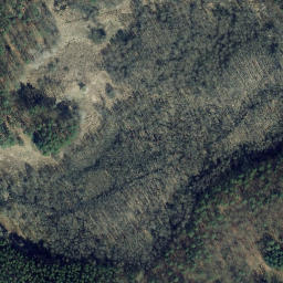 Satellite imagery of Teufelsberg, DE