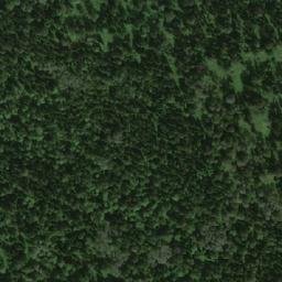 Satellite imagery of Погунская, RU