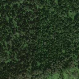 Satellite imagery of Погунская, RU
