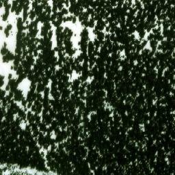 Satellite imagery of Two Sisters Mountain, CA