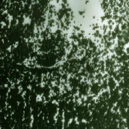 Satellite imagery of Two Sisters Mountain, CA