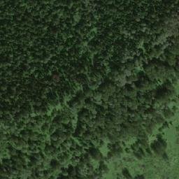 Satellite imagery of Погунская, RU