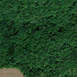 Satellite imagery of Wellow, GB