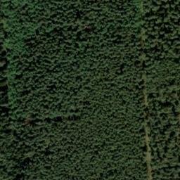 Satellite imagery of Sellhorn 182, DE