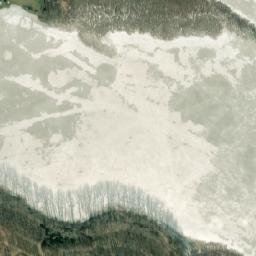 Satelita