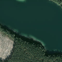 Satelita