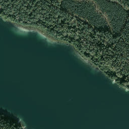Satelita