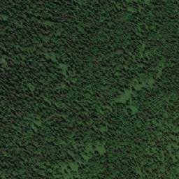 Satellite imagery of Бол. Чизим, RU