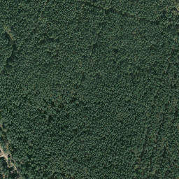 Satelita