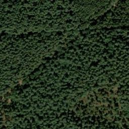 Satellite imagery of Sellhorn - Erhorn (153), DE