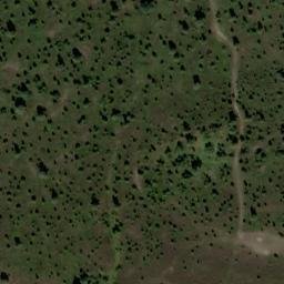 Satellite imagery of Wilseder Berg, DE