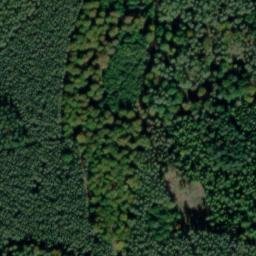 Satellite imagery of Dachsberg, DE