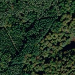 Satellite imagery of Dachsberg, DE