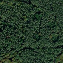 Satellite imagery of Dachsberg, DE