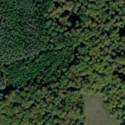 Satellite imagery of Dachsberg, DE
