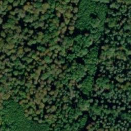 Satellite imagery of Dachsberg, DE