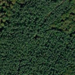 Satellite imagery of Dachsberg, DE