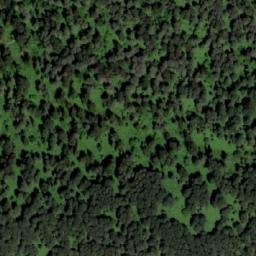 Satellite imagery of Пантелеевка, KZ