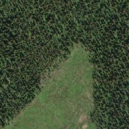 Satellite imagery of Mount Tom, CA