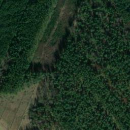 Satellite imagery of Dachsberg, DE