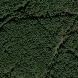 Satellite imagery of Hamberg, DE