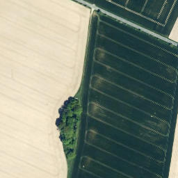 Satellite imagery of Rothenberg, DE