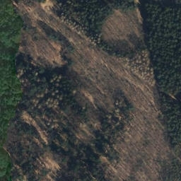 Satellite imagery of Göhrde 157 - 1, DE