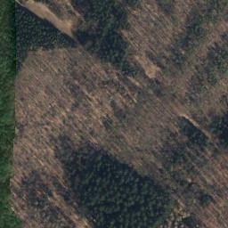 Satellite imagery of Göhrde 157 - 2, DE