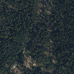 Satellite imagery of Göhrde 155-2, DE