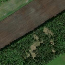 Satellite imagery of Großer Loh, DE