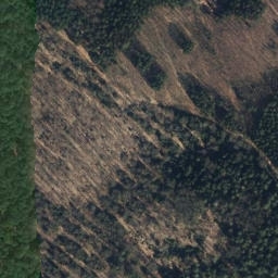 Satellite imagery of Göhrde 140 - 1, DE