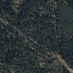 Satellite imagery of Göhrde 155-2, DE