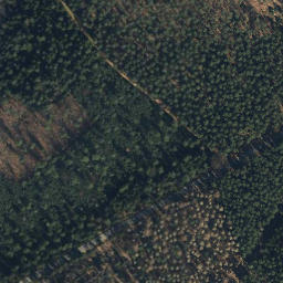 Satellite imagery of Göhrde 129 - 1, DE