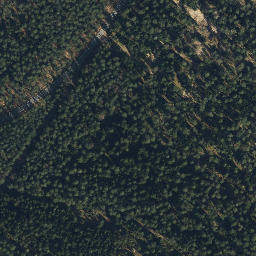 Satellite imagery of Göhrde 129 - 1, DE