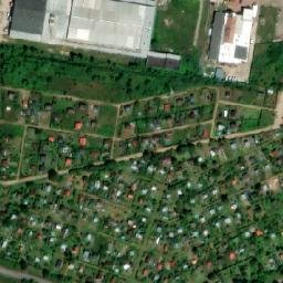 Satelita