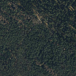 Satellite imagery of Göhrde 129 - 1, DE