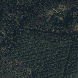 Satellite imagery of Göhrde 129 - 1, DE