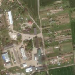 Satelita