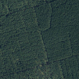 Satellite imagery of Steinberg, DE