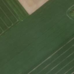 Satelita