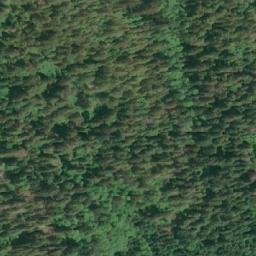 Satellite imagery of Meldrum Point, CA