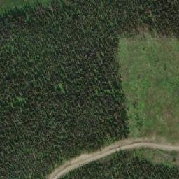 Satellite imagery of Island Mountain, CA