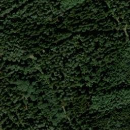 Satellite imagery of Wittenbecksberg, DE